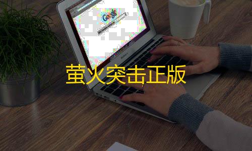 38. 安全高防的一站式解决方案萤火突击正版